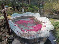 -明月山天沐温泉度假村