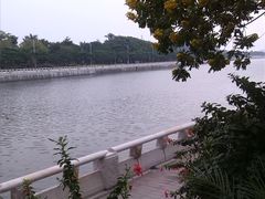 -长洲岛