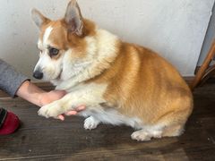 -肥朵食堂(带梦胡同店)