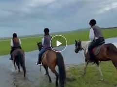 -额尔古纳黑山头绿野马帮骑马场