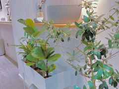 -Onirii Coffee(长乐路店)