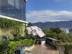 -金鸡山公园