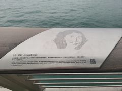 -星光大道