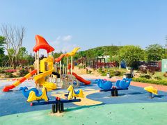 -铁山坪森林公园