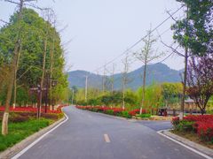 -黄陂区野村谷景区