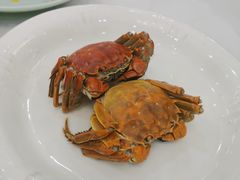 -新名仕新白玉兰餐厅