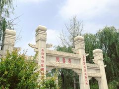 -武清南湖绿博园