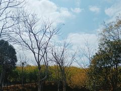 -牛岗山公园