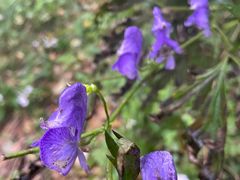 -白草畔自然风景区