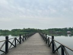 -溱湖国家湿地公园