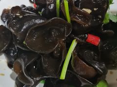 爽口木耳-兵哥活鸡鱼馆(仙乐花园店)