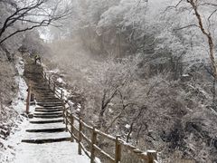 -洛阳白云山景区
