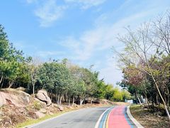 -南京市无想山景区