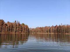 -上海海湾国家森林公园