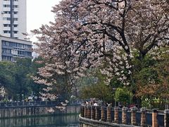 -成都市活水公园