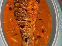 -阿五黄河大鲤鱼(纬三路店)