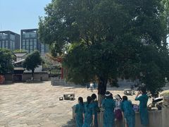 -龙潭水乡