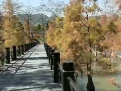 -田野绿世界
