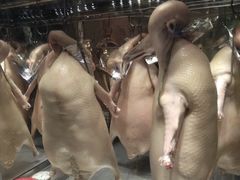 -新兴家喻酒家·羊城名宴(昌岗店)