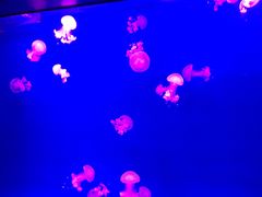 -福州罗源湾海洋世界旅游区