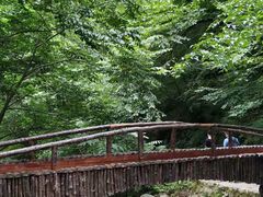 -青峰峡国家森林公园