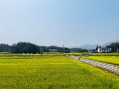 -影珠山