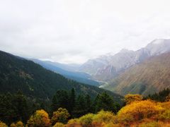 -黄龙山原始森林景区