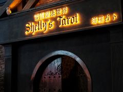 -雪灵魔法世界SHELLY’S TAROT(大良桂畔里店)