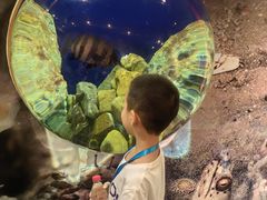 -西海国立公园九十九岛水族馆