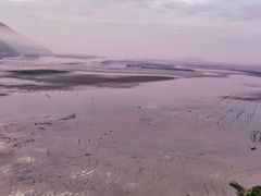 -北岐滩涂