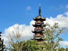 -龙华素斋(龙华路店)