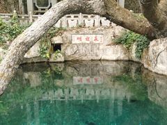 -蝴蝶泉公园