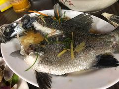 石斑鱼-神州好味道饭店