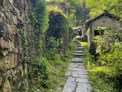 -石台牯牛降景区