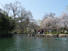 -西湖游船