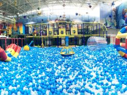 -爱丽丝奇幻乐园