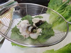 -荔城生鲜盛宴(番禺旗舰店)