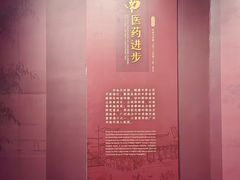 -广东中医药博物馆