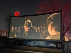 -枫花园汽车电影院(朝阳公园店)