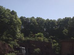 -宜兴龙背山森林公园