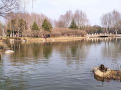 -郑州植物园
