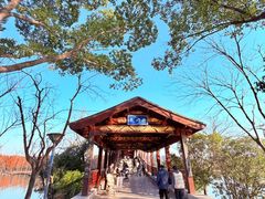 -长广溪湿地公园