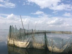 -乌梁素海景区