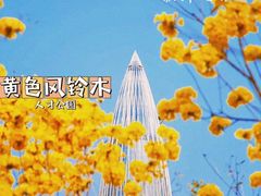 -白石龙音乐公园