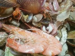 海鲜锅-大锅强·蒸海鲜青岛菜(吾悦广场店)