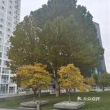东三环四大神级面馆之湖南拌面