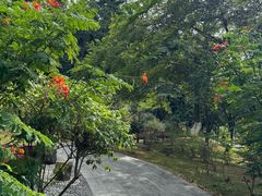 -东莞植物园