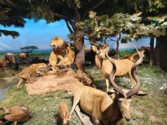 -国家自然博物馆