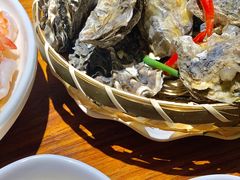 竹篮生蚝-全渔村小海鲜