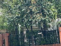 -唐城墙遗址公园